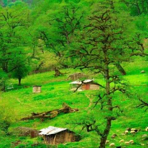 دانلود آهنگ جونم از امین رستمی