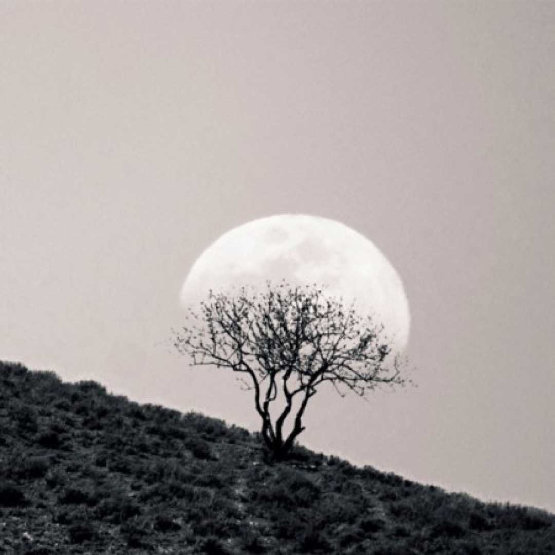 دانلود آهنگ می‌پرسی تا کی تا وقتی چروکیده خطای دستام از شروین حاجی پور