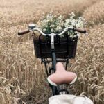 دانلود آهنگ جدید  با اینکه میدونم دروغ بود اون حرفات