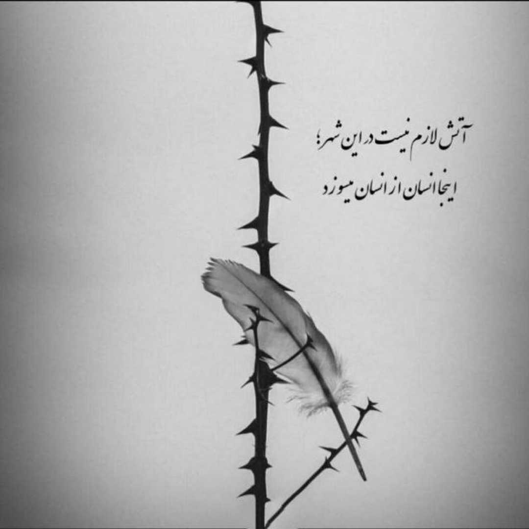 دیجی باربد تهران فیت 42