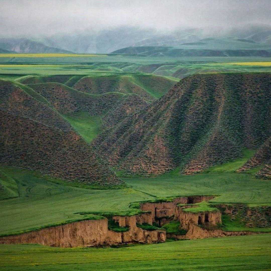 هر نبینمش خرابوم ( ترند اینستا )