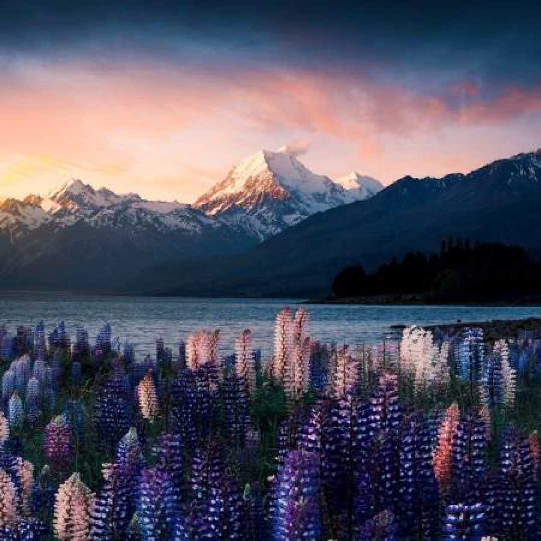 مهستی ( دیجی سونامی ) شونه به شونه