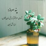 دانلود آهنگ سوغاتی از هایده ( هوش مصنوعی )