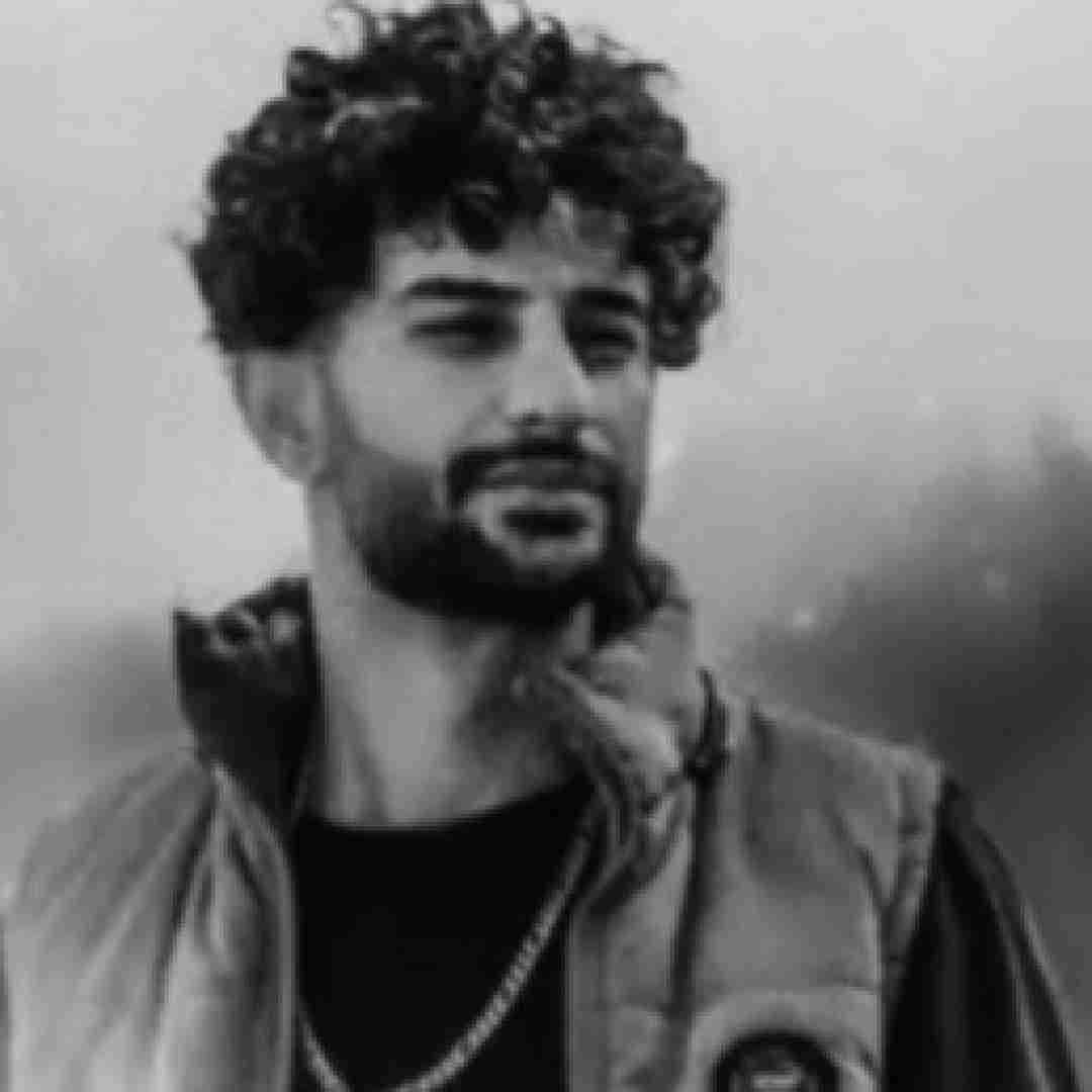 رضا رادین برس
