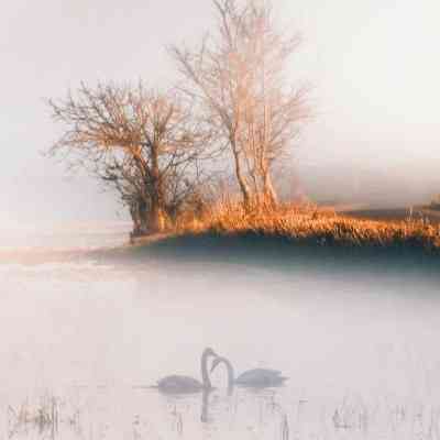 تو یه لحظه این همه عشق بین ما یهویی چشم خورد مهستی ( هوش مصنوعی )