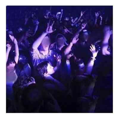 مجی فان 21 دیجی استاد