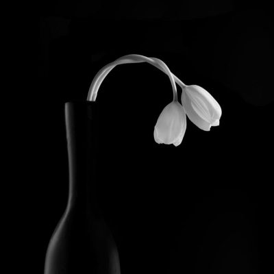 آهنگ احساسی همسفر