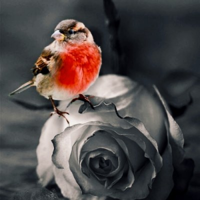 دانلود آهنگ جز تو هیچکسو نیستم فقط پیش تو میشدم آروم ( هوش مصنوعی )