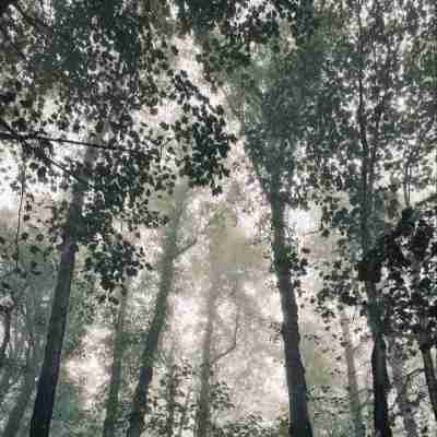 آهنگ دوراهی نشسته