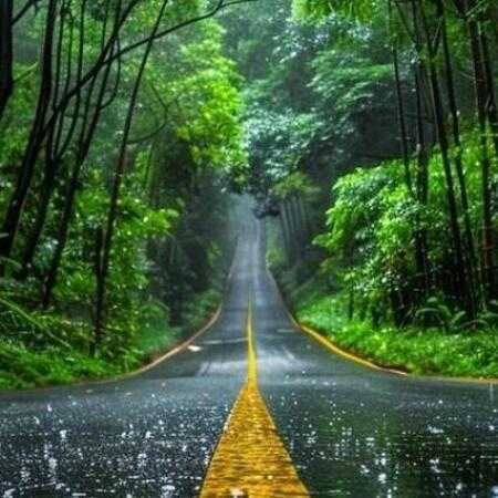 علی سورنا هنوز نمردم