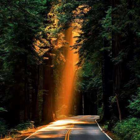 علی سورنا و شایع یادگاری