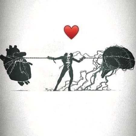 علی سورنا هیپهاپولوژیست گادپوری عرفان جلز ولز