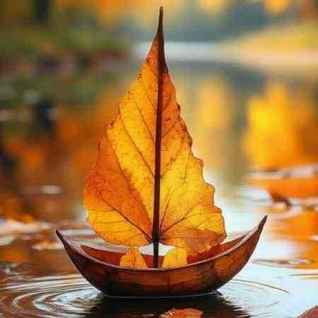 زدم به هر دری ع دستم در نری