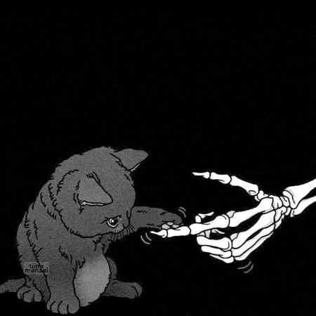 عارف، داریوش، شادمهر  رادیو تهران 17