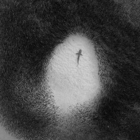 بهرام ، شایع ، سورنا ، یاس عقده