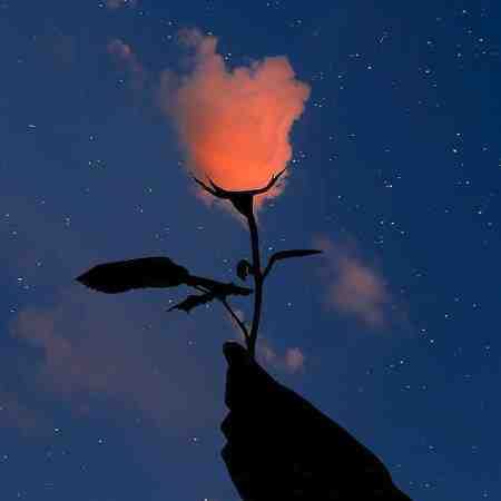 ابی، قمیشی، جهان، هایده تانیس