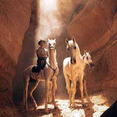 هایده، حبیب، شهرام صولتی، قمیشی بلک میکس ۱