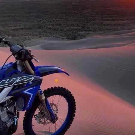 مهراد جم، د دان، کیارش، دکاموند تپش 15