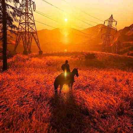 پوری و سورنا و هیپاپولوژیست فقط تو