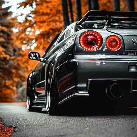 تاتلیس ، شادمهر ، علیرضا قربانی رادیو سرمست ۱