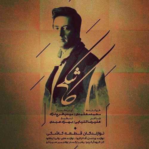 محمد معتمدی کاشکی